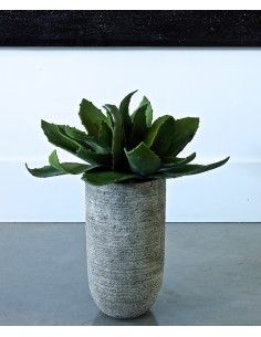 Aloe Vera artificielle 36 cm