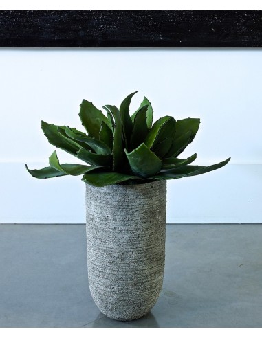 Aloe Vera artificielle 36 cm