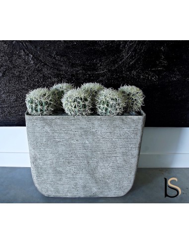 Pot de 6 cactus artificiels de 75 cm.