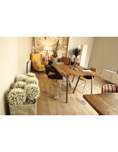 Pot de 6 cactus artificiels de 75 cm.