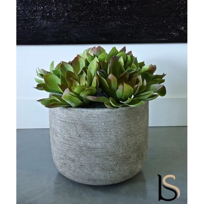 Composition de 5 Echeverias artificiels de 37 cm.