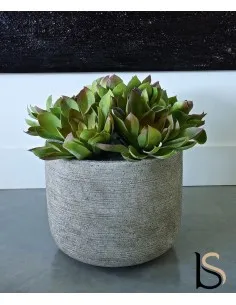Composition de 5 Echeverias artificiels de 37 cm.