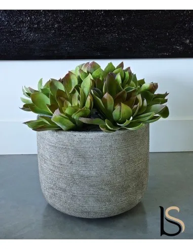 Composition de 5 Echeverias artificiels de 37 cm.