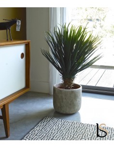 Yucca artificiel 95 cm 2