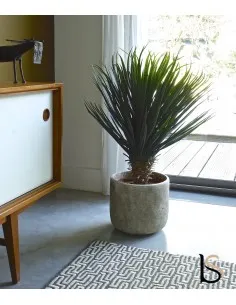 Yucca artificiel 95 cm 2