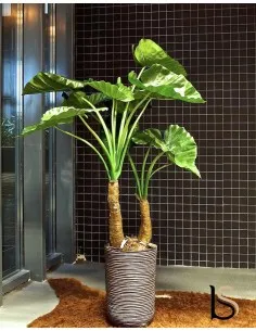 Grande Alocasia artificielle de 145 cm
