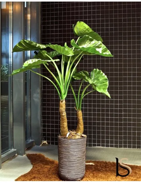 Grande Alocasia artificielle de 145 cm