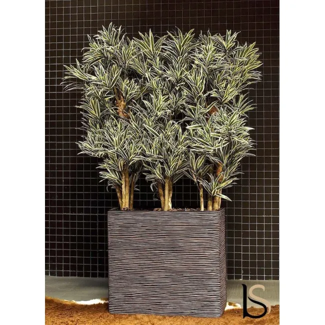 Composition de 3 Dracenas jaunes artificiels de 165 cm