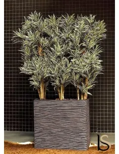 Composition de 3 Dracenas jaunes artificiels de 165 cm