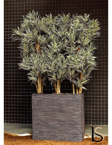 Composition de 3 Dracenas jaunes artificiels de 165 cm