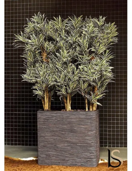 Composition de 3 Dracenas jaunes artificiels de 165 cm