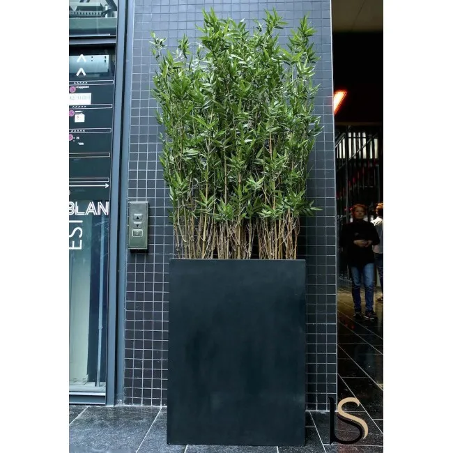 Composition de 3 magnifiques bambous artificiels de 190 cm