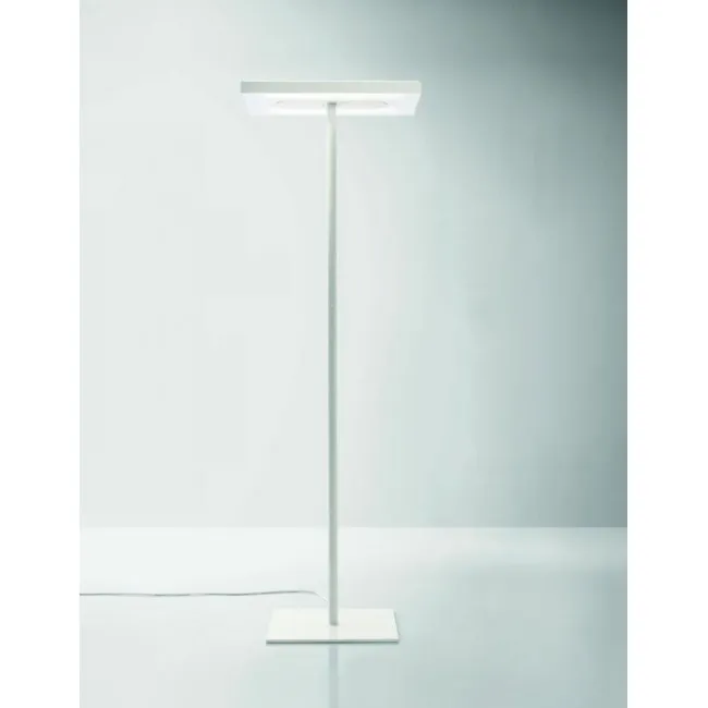 LAMPADAIRE LINEA AVEC PIED CENTRAL.