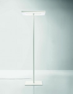 LAMPADAIRE LINEA AVEC PIED CENTRAL.