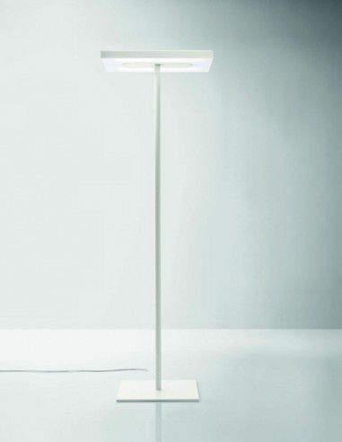 LAMPADAIRE LINEA AVEC PIED CENTRAL.