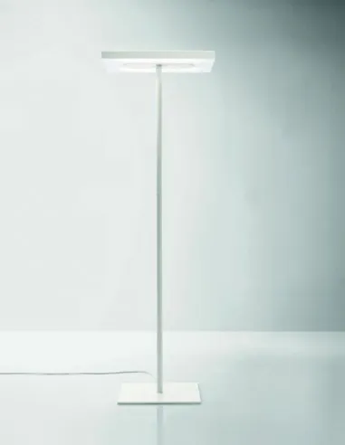 LAMPADAIRE LINEA AVEC PIED CENTRAL.
