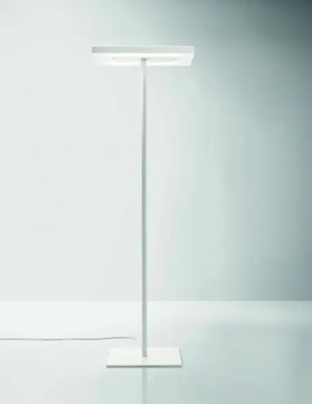 LAMPADAIRE LINEA AVEC PIED CENTRAL.