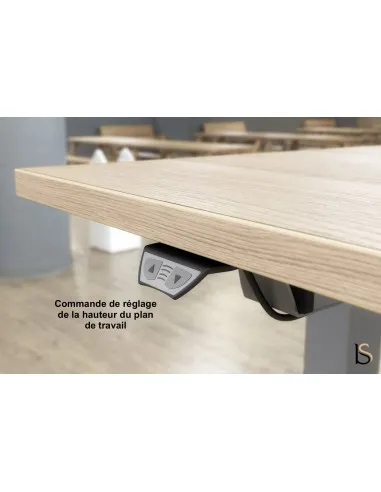 Bureau réglable en hauteur angles arrondis - Mobel Linea
