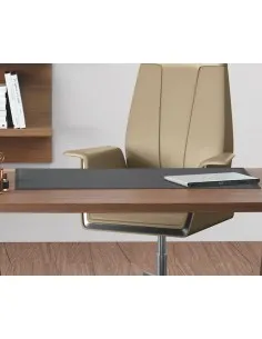 Bureau de Direction Larus– Dellarovere 2