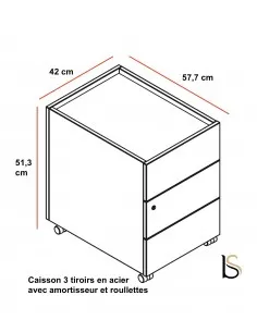Caisson mobile pour bureau Segno - Dellarovere 2