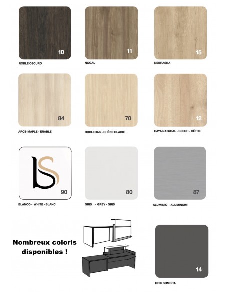 Banque d'accueil Avant avec PMR- Ofitres