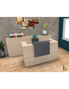 Comptoir d'accueil Delta - Mobel Linea