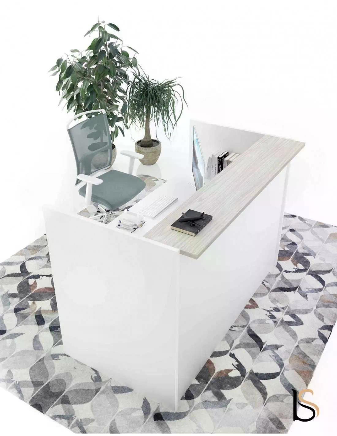 Bureau d’accueil blanc avec chaise et plante verte dans une zone de réception.