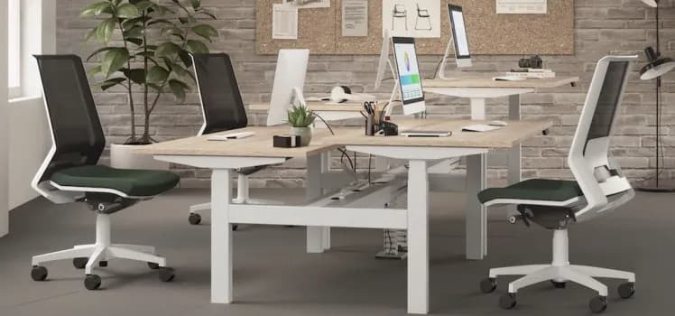 Travail efficace et sain : Les clés d'un aménagement de bureau ergonomique